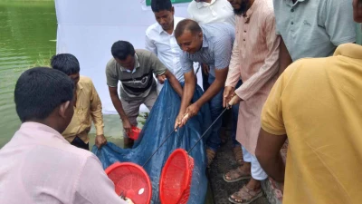 ঠাকুরগাঁওয়ে জাতীয়তাবাদী দলের ৪৮ চল্লিশ তম প্রতিষ্ঠা বার্ষিকী উপলক্ষে মাছের পোনা অবমুক্তকরণ