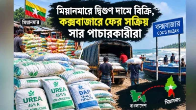 মিয়ানমারে যাচ্ছে সার আসছে মাদক: সক্রিয় চোরাচালানী সিন্ডকেট
