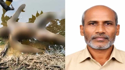 তাল কুড়াতে গিয়ে নিখোঁজ, তিনদিন পর পুকুরে মিলল কৃষকের মরদেহ