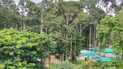 চকরিয়ায় সংরক্ষিত বনভূমি দখলের হিড়িক: উচ্ছেদের পরও ফের দখল