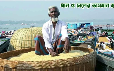 সন্ধ্যার বুকে ভাসমান ধান-চালের হাট