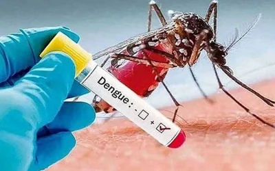 ডেঙ্গুতে ৯ জনের প্রাণহানি, হাসপাতালে ১৯০২