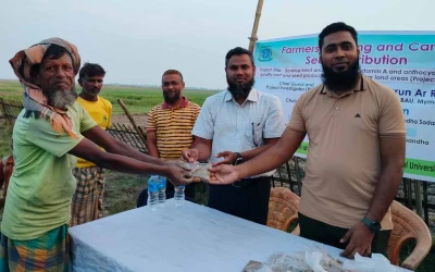 গাজর চাষে সম্ভাবনার দ্বার খুলবে গাইবান্ধার কামারজানির প্রান্তিক কৃষকের
