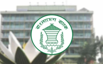 পিএইচপির ত্রুটিতে বাংলাদেশ ব্যাংকসহ বহু ওয়েবসাইটে সতর্কতা