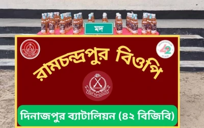 বিরল ও হরিপুর সীমান্তে ৪২ বিজিবির সাঁড়াশি অভিযান: বিপুল পরিমাণ ভারতীয় মদ জব্দ