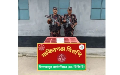 পীরগঞ্জ সীমান্তে বিজিবির অভিযানে ভারতীয় নেশাজাতীয় ট্যাবলেট উদ্ধার